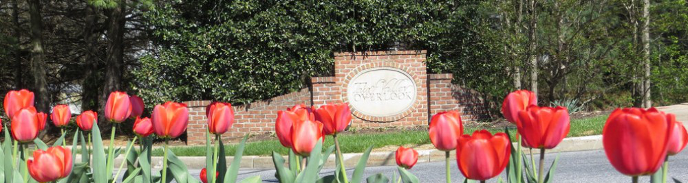 TVO monuments and tulips